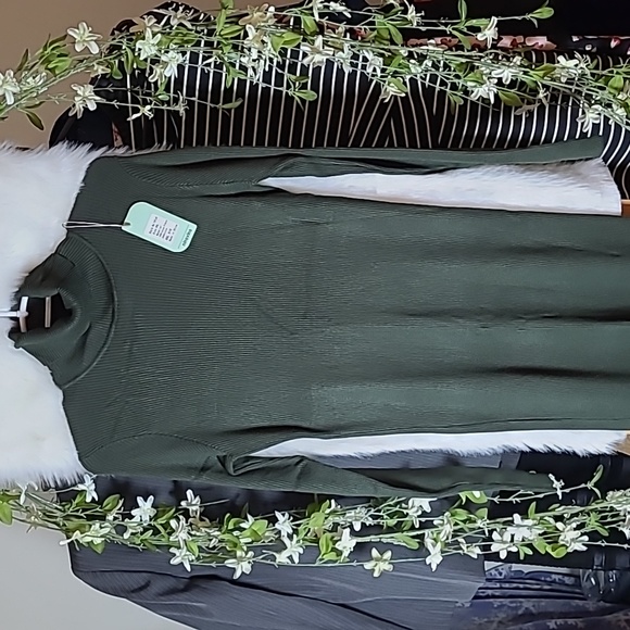 Olive Green sweater dress - Picture 2 of 5